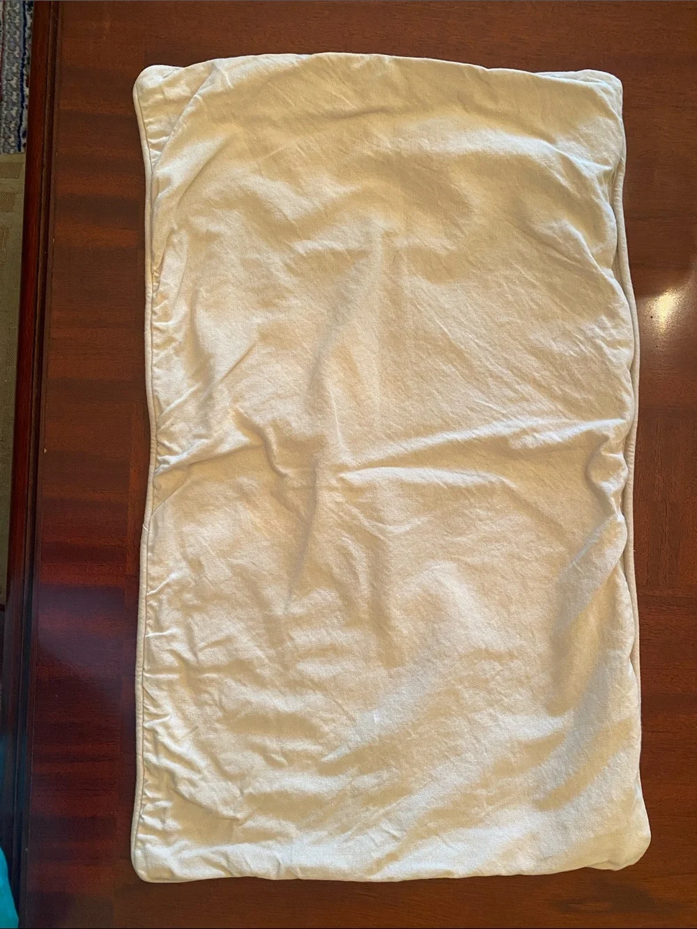 Pottery Barn Cotton Floral Paisley Pillow Cover 16” x 26”